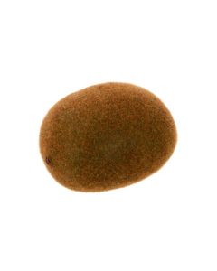 Kiwi Fruit (Not Weighted) 7cm Green
