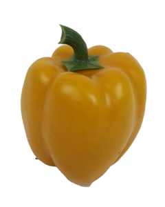 Bell Pepper 10cm Yellow