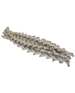 Bundle Buriti Twig 40cm Misty White x 7 Stems