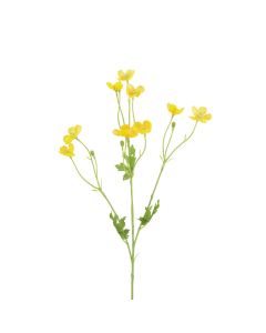 Meadow Buttercup 62cm