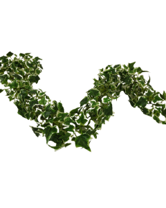 180cm Variegated Mini Ivy Leaf Chain Link Garland
