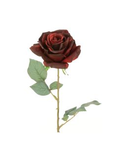 Luxury Bella Rose 66cm Dark Red