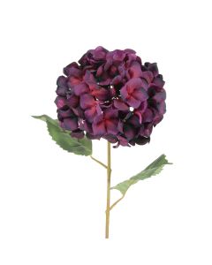 Luxury Hydrangea 68cm Aubergine