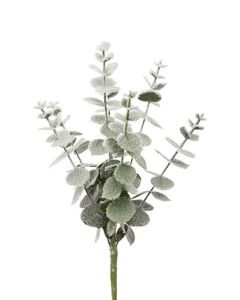 Snowy Spiral Eucalyptus Pick 30cm