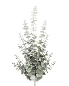 Snowy Spiral Eucalyptus Spray 70cm