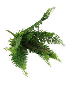 Plastic Boston Fern Bush H - 40cm