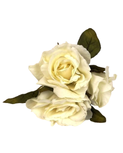 24cm Open Rose Posy x 3 Heads Cream