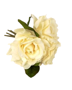 24cm Light Peach Open Rose Posy