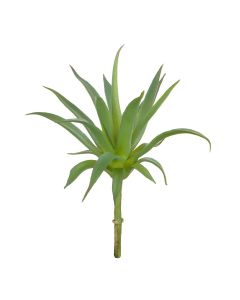 Aloe Pick 20cm Green
