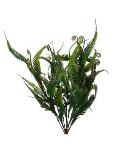 48cm Fern Bush