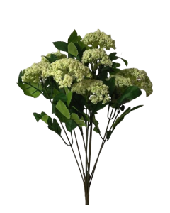 40cm Queen Anne Lace Bush