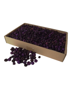 Putka Pods Aubergine