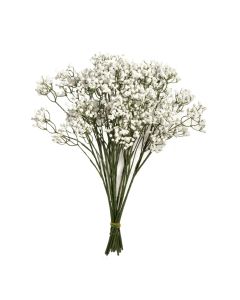 48cm Gypsophila x 12 Stems
