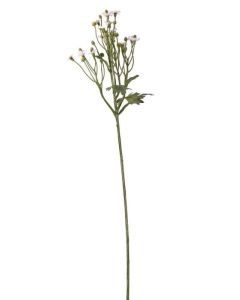 64cm Mini Daisy
