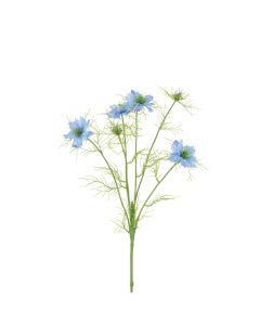 ECO Nigella Love in the Mist -65cm Light Blue