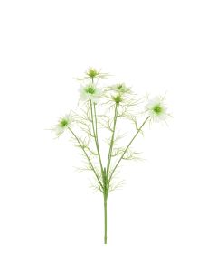 ECO Nigella Love in the Mist -65cm White