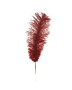 Feather Quill 76cm Ruby
