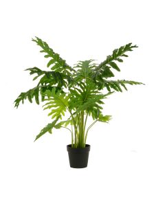 Happy Philo Plant 110cm