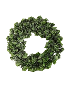 40cm Green Succulent Wreath