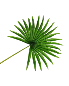 Real Touch Fan Palm Leaf Green 82cm