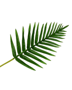 Real Touch Fern Palm Leaf Green 65cm