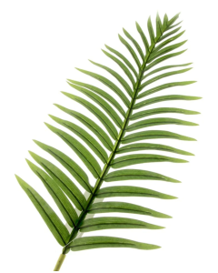 Real Touch Fern Palm Leaf Green 108cm