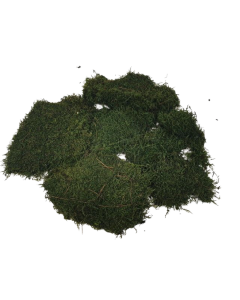 Flat Moss Preserved App 500g