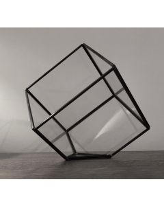 Black Terrarium Cube 12.5cm