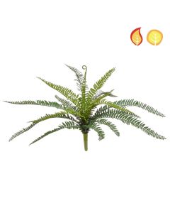 Boston Fern Bush 52cm FR & UV