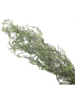 130cm Cedar Garland Frosted Green