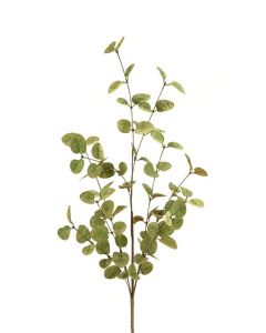 Eucalyptus Spray 85cm Green/Gold