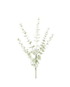 Snowstorm Eucalyptus 72cm