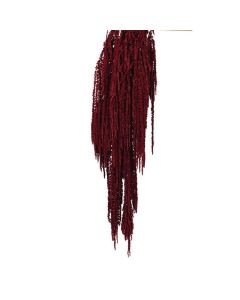 Preserved Amaranthus Caudatus - Burgundy