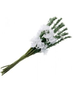 Heather x 12 Stems x 6 Bunches White