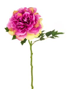 Blush Peony Fuchsia - 62cm Fuchsia