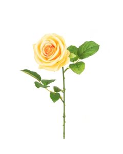 Gemma Single Rose - 64cm Peach