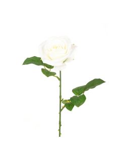 Gemma Single Rose - 64cm White