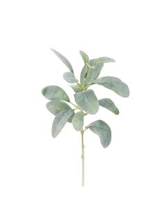 ECO Lambs Ear Shortie - 35cm Green