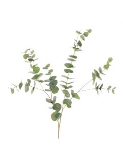 Jackson Eucalyptus Spray - 101cm