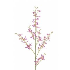 Dendrobium Orchid 97cm Purple