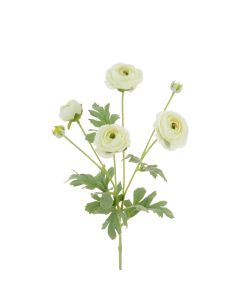 ECO Ranunculus Spray 67cm White