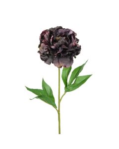 Peony x 1 Aubergine 77cm
