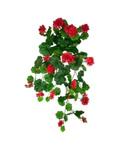 Geranium Hanging Bush 80cm Red