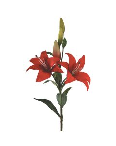 Tiger Lily Double Headed 86cm Red