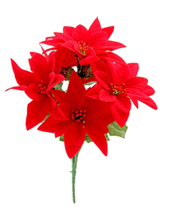 Velvet Poinsettia Bush x 7 Heads Red
