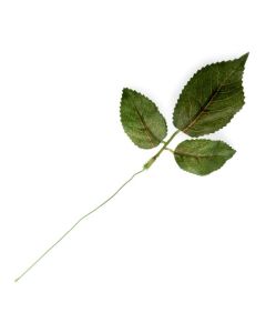 Rose Leaf Pick 25cm - Green x 12 Stems