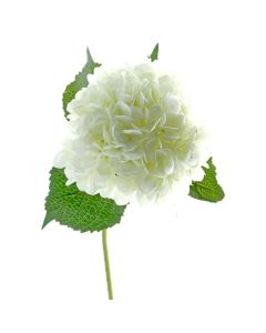 Single Hydrangea 82cm White