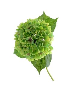 Single Hydrangea 82cm Green