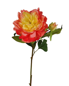 66cm Peony Peach