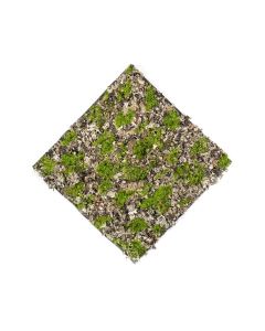 Dry Moss Mat Green/Grey 50 x 50cm